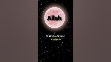 القرآن الكريم 💙 من سوره القصص