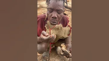 Africa Africancuisine Food Colonelkkjϟ 