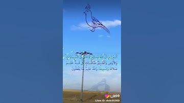 الم تر ان الله يسبح له من في السماوات والارض || تلاوه وخاشعه ❤