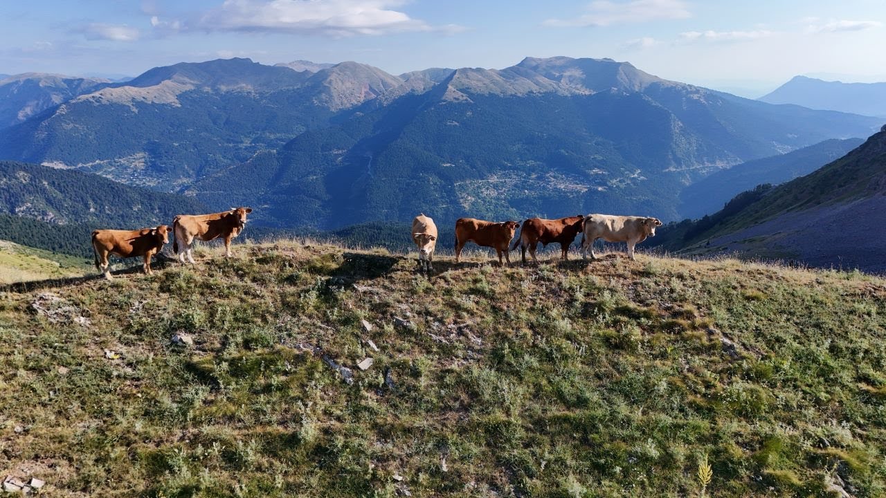 ΜΑΡΟΣΑ ΝΕΡΑΪΔΟΧΩΡΙ