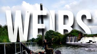 FEEDER FISHING HOTSPOT! - WEIRS