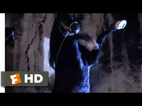 the-black-stallion-returns-(1983)---the-black-to-the-rescue-scene-(7/12)-|-movieclips