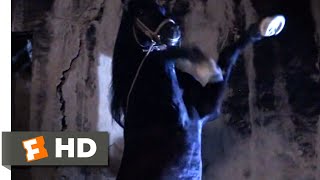 The Black Stallion Returns (1983) - The Black To The Rescue Scene (7\/12) | Movieclips