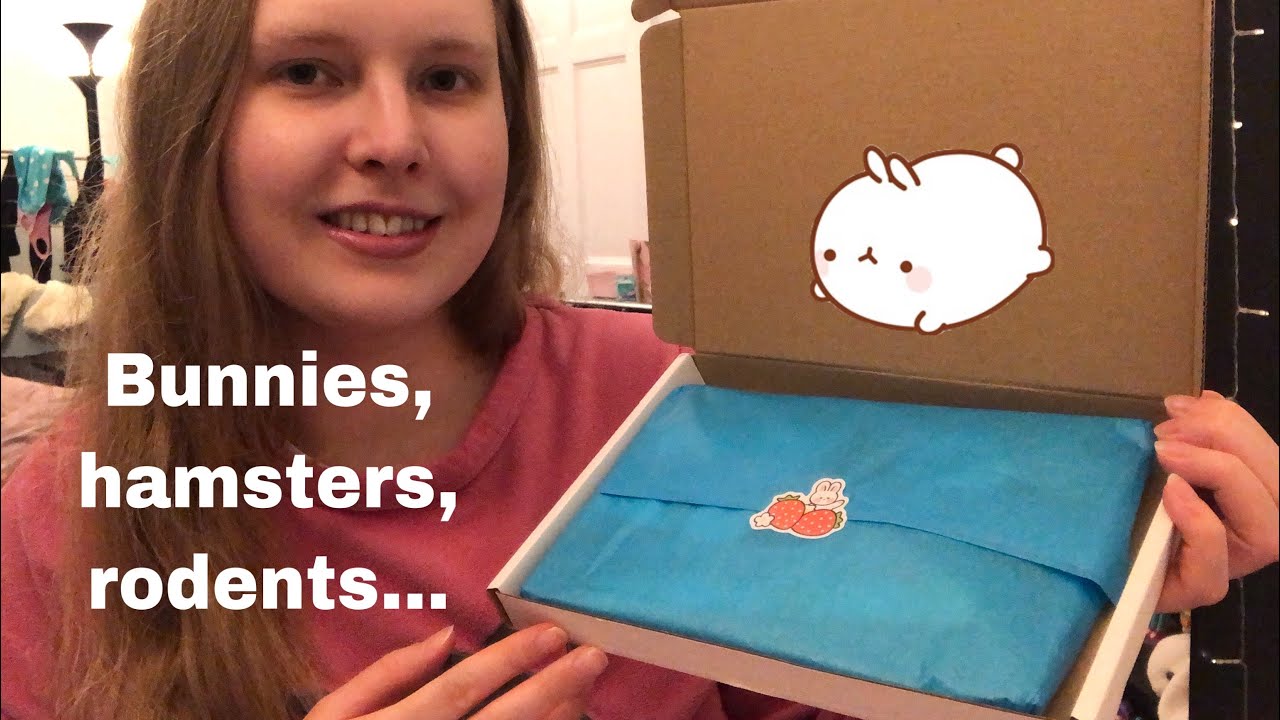 Kawaii Stationery MYSTERY BOX! By ISpyKawaiiSupplies on ETSY. Adorable