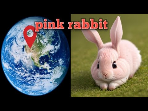 pink rabbit statue #youtubevideo #googlemaps - YouTube