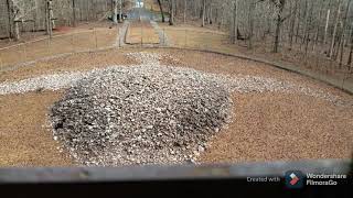 Rock Eagle Mound Effigy