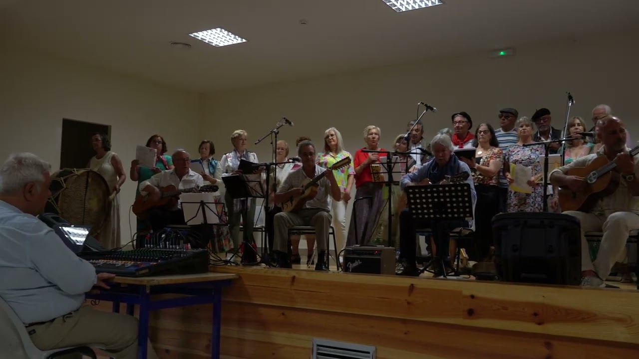 Unisseixal Artes do Barulho - Prof. António Pontes