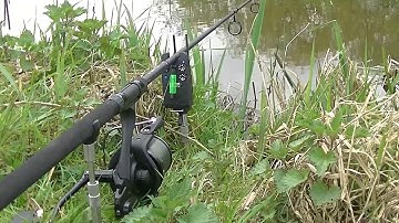 carp run compilation #6