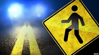 6-Year-Old Struck, Killed on Highway in Mille Lacs County