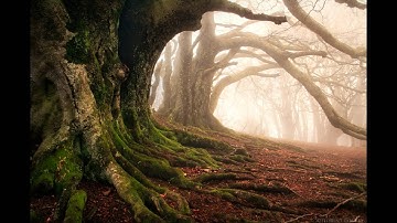 Jeff Pearce and Vidna Obmana - Opening Theme [HQ]