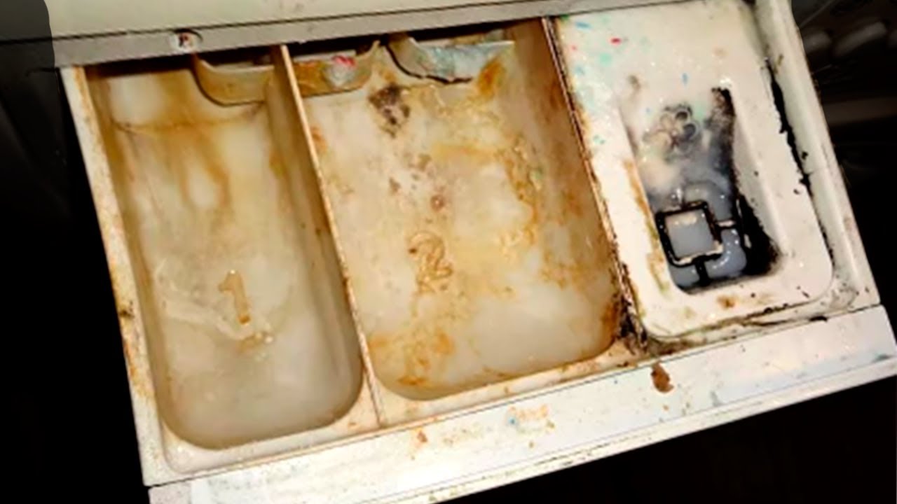 Плесень в стиральной машине. Советы как очистить стиральную машину. — Стоимость в Алматы и области