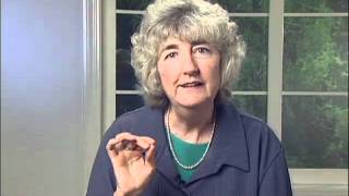 Ananda Yoga to Awaken the Chakras - Interview with Savitri Simpson