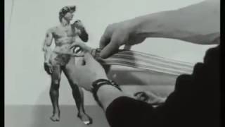 Early Interview - Terry Gilliam explains Monty Python animations