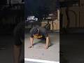 61 Days of Consistency #fitness #motivation #youtubeshorts #minivlog #fatloss #vlog #gym