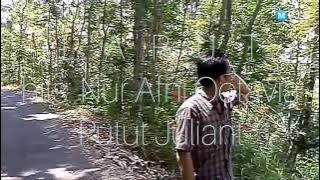 L A R U T hits NUR AFNI OCTAVIA (1988)