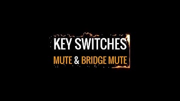 Tutorial. Key Switches. Mute & Bridge Mute