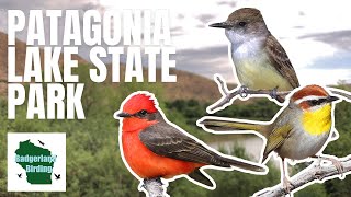 Birding Patagonia Lake State Park! (Quest for the Rufouscapped Warbler)