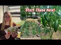 What I'm Planting in February - My Top Pepper Varieties