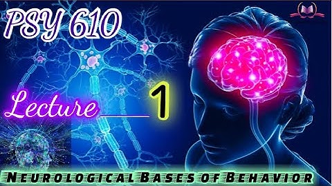 PSY610 || Lecture 1 || Neurological Bases of Behavior || Short Lecture || VU Lectures