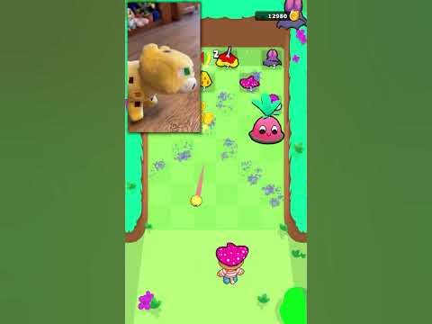 #симбочка #попрыгунчикисимбы #симба - YouTube