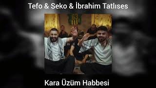 Tefo & Seko & İbrahim Tatlıses - Kara Üzüm Habbesi (speed up) Resimi