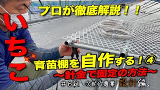 【農家の1日】台風にも強い！いちご育苗棚をご紹介します。｜プロの針金固定方法。｜ブドウビニール張り