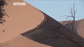 The World