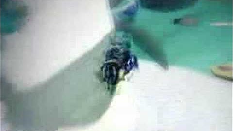 Ratchet and Clank Size Matters Glitches Part 24