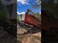 Triturando ramas de pino!