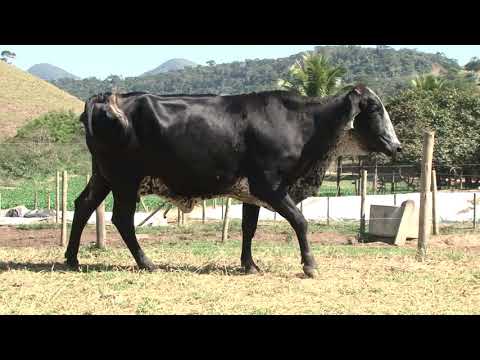 LOTE 34   PANAMÁ   8601AQ