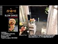 【Sat.06/13/2026 Livecamera at the florist】 スローダンス SLOWDANCE 等々力 尾山台 世田谷 Setagaya 東京 Tokyo 日本 Japan