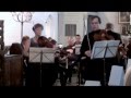 Capture de la vidéo W.a.mozart Sinfonia Concertante ( O.daniluk ; V.bochkovskiy ; P.n. Christensen )