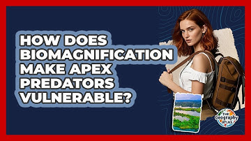 How Does Biomagnification Make Apex Predators Vulnerable? - The Geography Atlas