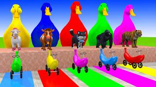 Long Slide Game With Cow Elephant Gorilla Hippopotamus Tiger 3d Animal Game Funny 3d Animals screenshot 4