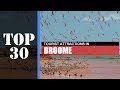 TOP 30 BROOME Attractions (Things to Do & See)