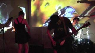 Naps on June 3, 2016 at The Nest, Gainesville, FL