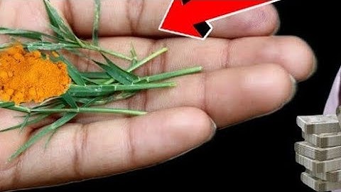 08 अक्टूबर बुधवार के दिन 7 दूर्वा और हल्दी वाला उपाय जरूर करें बनोगेPradeep Ji Mishra