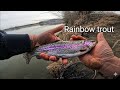 FINALLY Back On The Water! Catching Rainbow Trout On Power Eggs Washington Fishing