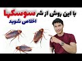 با این روش رایگان و خانگی همه سوسک ها را نابود کردم چگونه سوسک های خانه را کنترل کنیم با این روش رایگان و خانگی همه سوسک ها را نابود کردم چگونه سوسک های خانه را کنترل کنیم