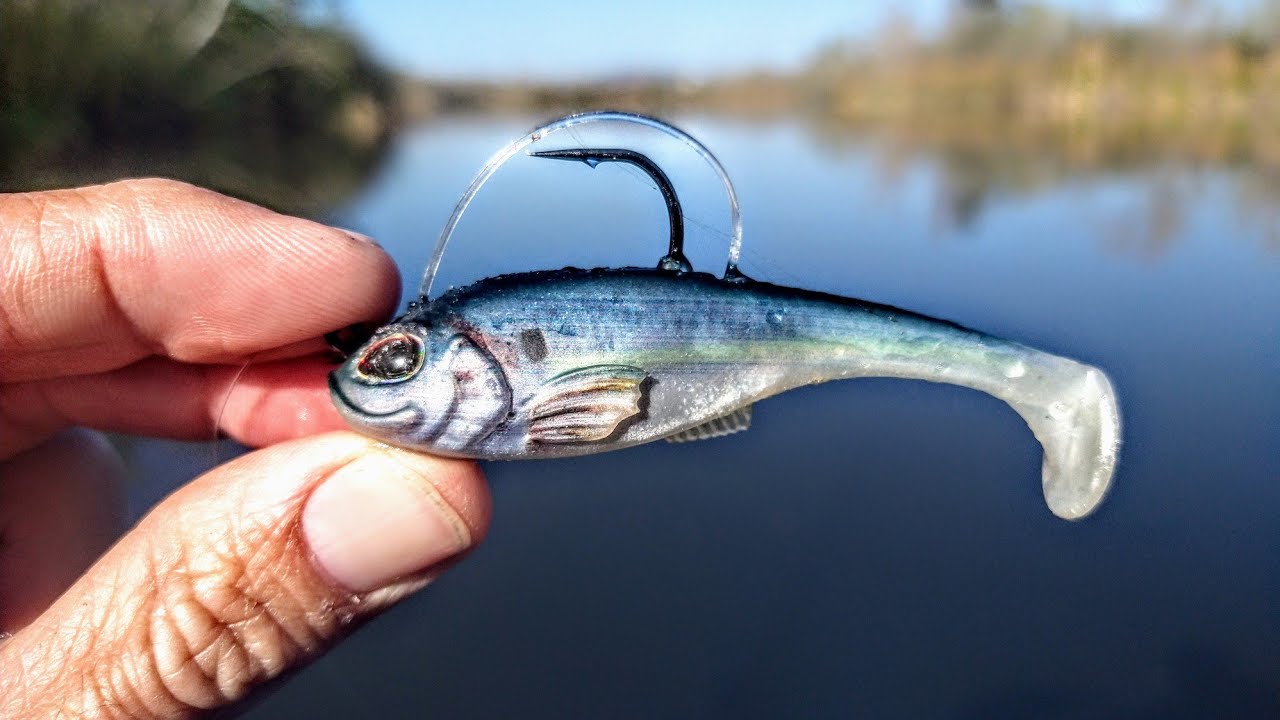 Catching Big Bass On Small Swimbaits(Biggest Of The Year)
