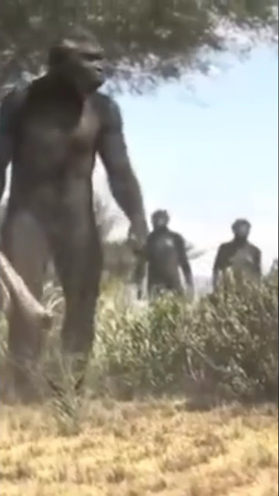 Manusia purba #manusiapurba #purbakala