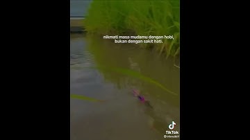 video Sood part 1 fyp#