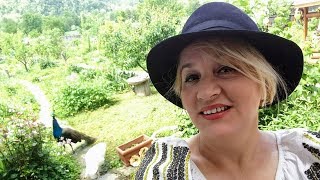 Nina Predescu - De n-as avea ce iubi NOU