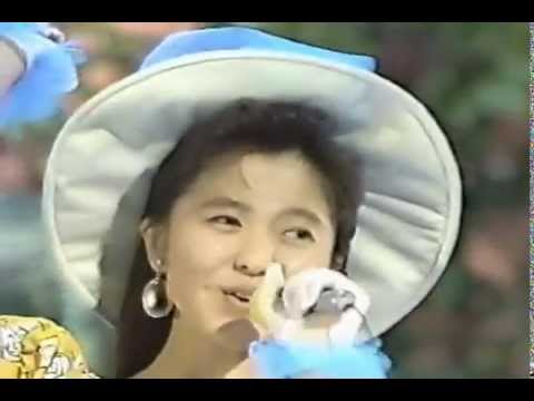 三浦理恵子 水平線でつかまえて Youtube