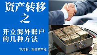 国内资产如何向海外转移，第一步开立海外银行账户。本期是合理合法的|如何合理合法的把国内资产放到一个安全的地方|躲避国内银行暴雷,养老金暴雷|如何海外开户,怎么办理海外开户?找我呀