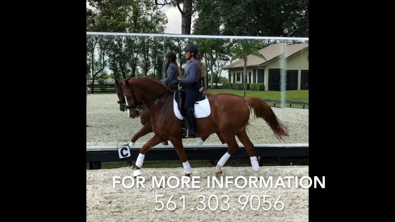 SOLD Wancourt YouTube