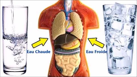 Quels sont les effets de boire beaucoup d'eau