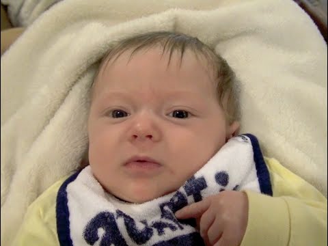 BABY FARTS COMPILATION