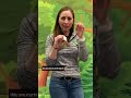 Let’s check out the barn owl skull #shortsvideo #shortsfeed #shorts
