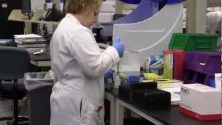 Famous Cleveland HeartLab -- A Day in the Life of a Sample Net Worth